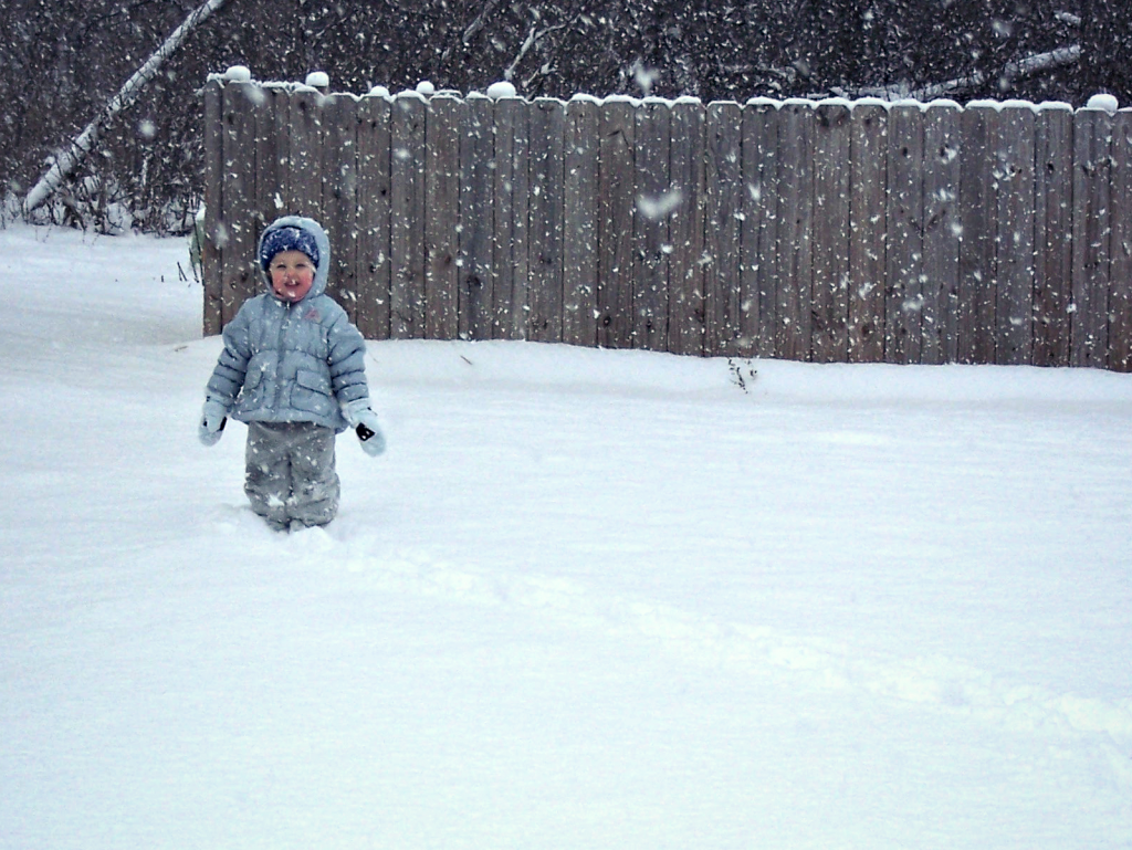 Mira in the snow, 2009