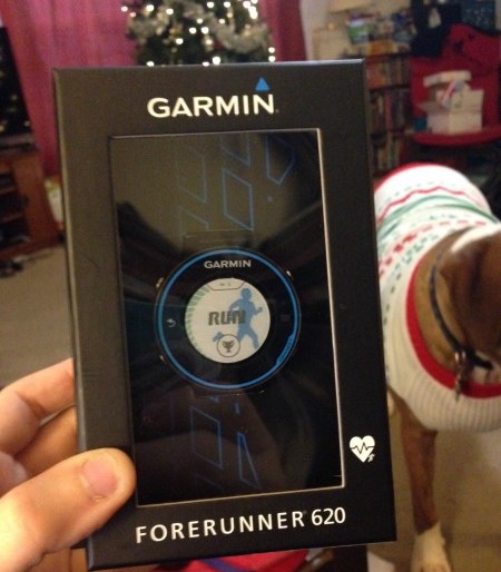 Garmin Forerunner 620