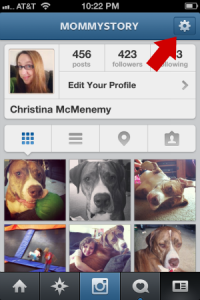 Instagram Profile screen